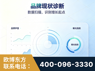 吉首-品牌现状诊断
