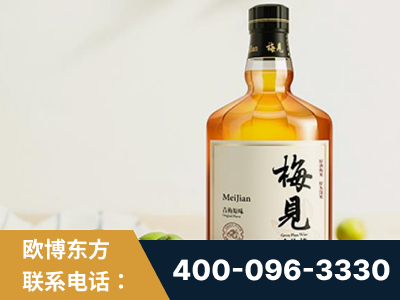 吉首-梅见青梅酒
